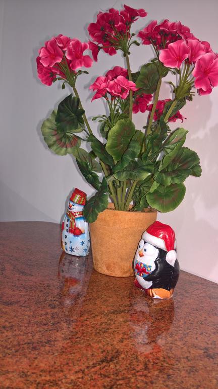 אוגוסטוב Apartament Konopnicka מראה חיצוני תמונה