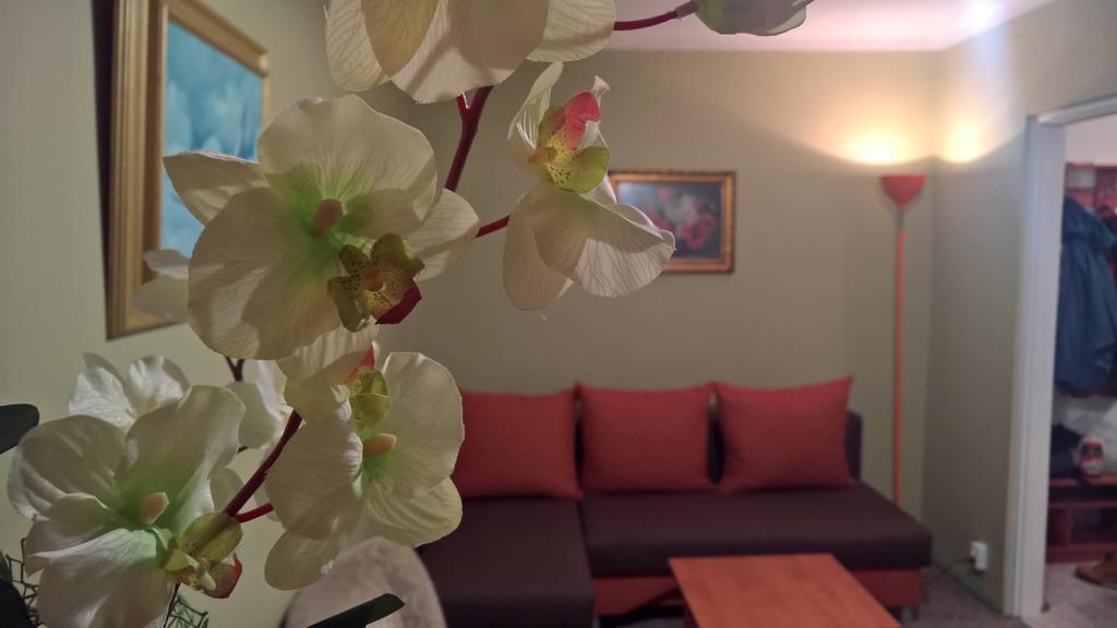 אוגוסטוב Apartament Konopnicka מראה חיצוני תמונה