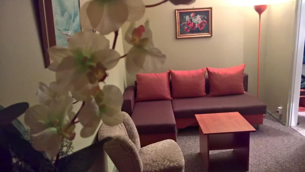 אוגוסטוב Apartament Konopnicka מראה חיצוני תמונה