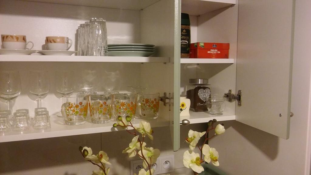 אוגוסטוב Apartament Konopnicka מראה חיצוני תמונה